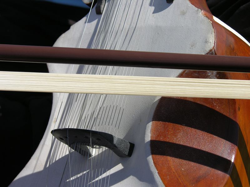 File:Dilruba detail.jpg